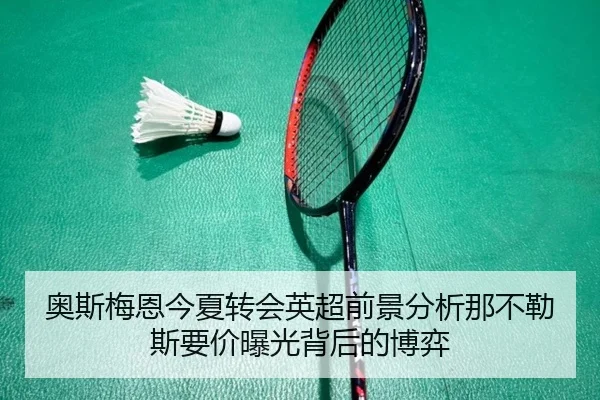 奥斯梅恩今夏转会英超前景分析那不勒斯要价曝光背后的博弈